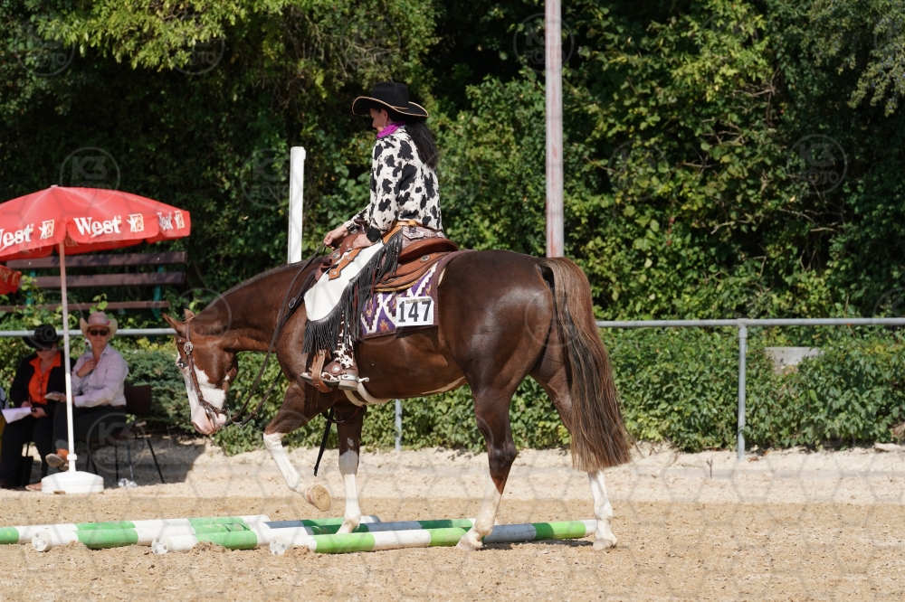 s_A9_08714.jpg